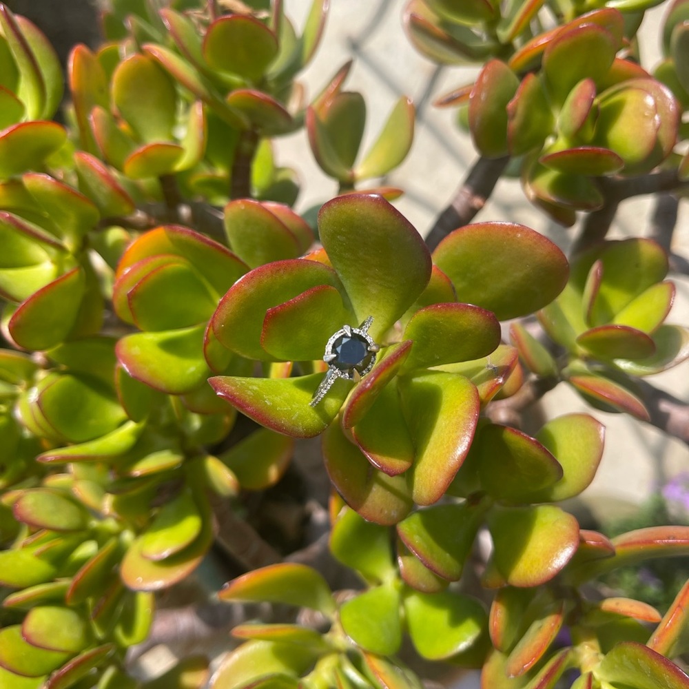 Black diamond engagement ring